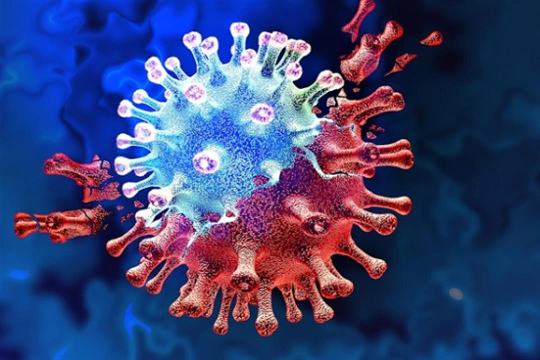 كيف يتكاثر فيروس كورونا في الجسم