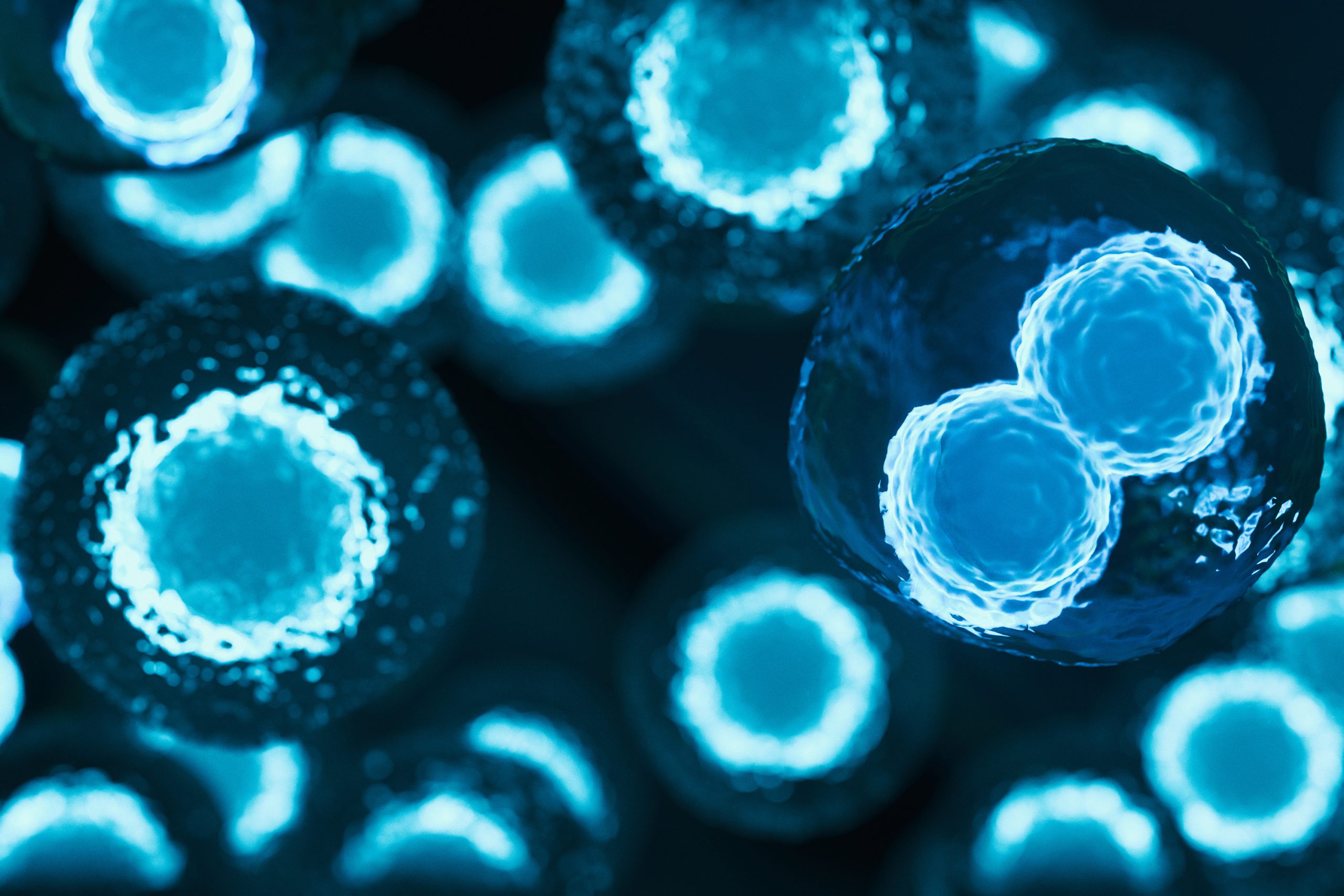 أنواع الخلايا الجذعية 