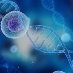 أبحاث الخلايا الجذعية 2023