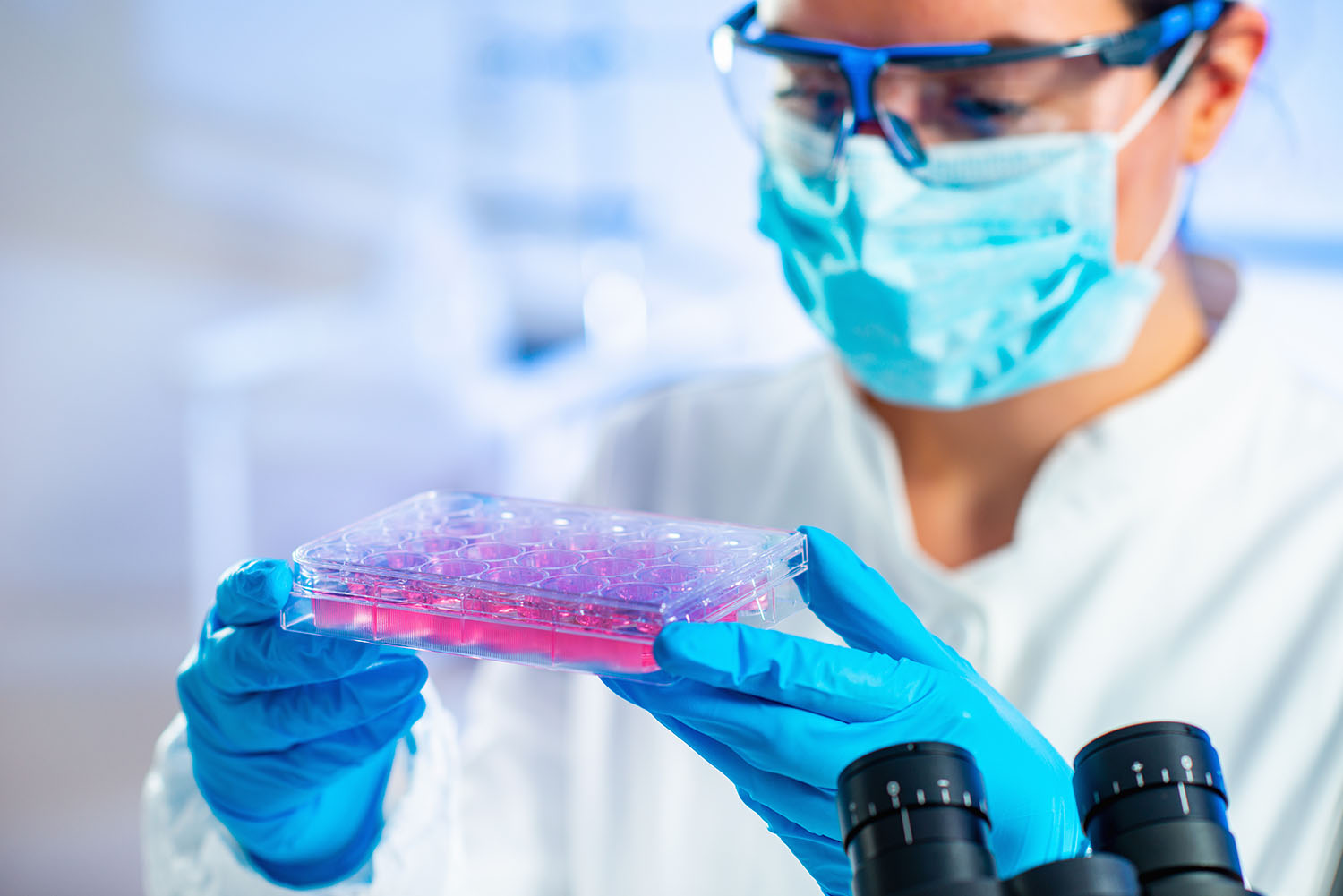أبحاث الخلايا الجذعية 2023